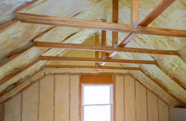 Best Insulation Contractor Near Me  in Sheridan, IN