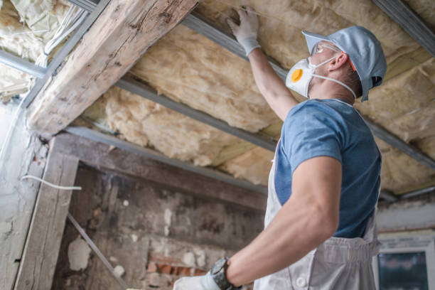 Trusted Sheridan, IN Insulation Contractor Experts