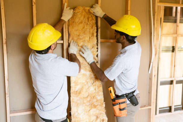 Insulation Replacement Services in Sheridan, IN